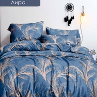 Комплект постельного белья 1,5 (70*70) ДомВелл Удачный полисатин-80 11713/02 Лира