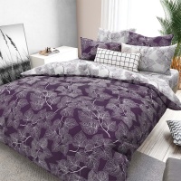 Комплект постельного белья 1,5 (70*70) ДомВелл Поплин Соловушка 28436 Санса