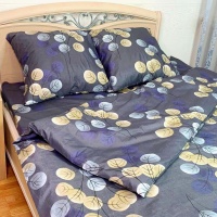 Комплект постельного белья 2,0 (70*70) ДомВелл Удачный полисатин-70 2877/9 Цветочный этюд