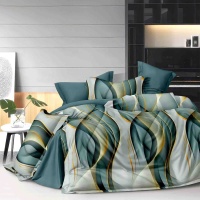 Пододеяльник 2-х сп. (215*175 см) ДомВелл (Поплин) 8033А Жизель